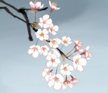 ​描写美好的未来的句子汇总53句