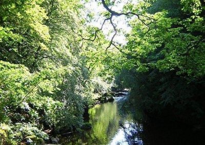 ​幸福句子65条