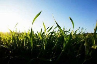 ​赞美打高尔夫球的句子(105句)