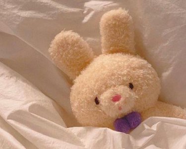 ​给人传播正能量的句子