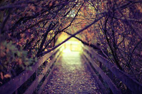 情感伤心的句子