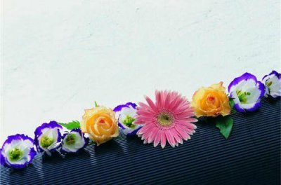 ​描写夜晚天空的优美句子