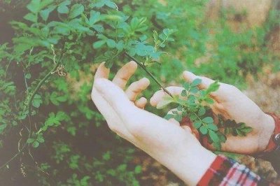 ​描写七月的优美句子