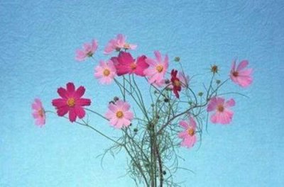 ​四月五月交替的句子 四月结束的文案(79句)