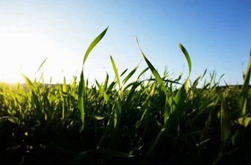 下雪了伤感句子