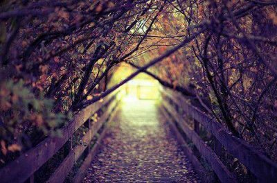 ​表达想家的句子 关于中秋节的想家句子汇总43句