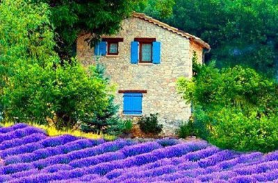 ​情侣甜蜜的句子101句