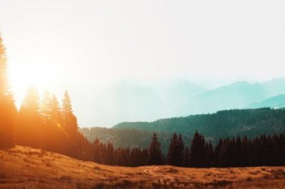 ​简短的生活伤感句子98条