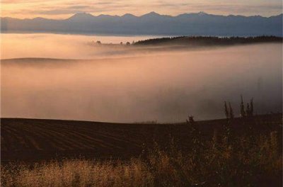 ​心凉到极点的句子 看透人心的句子合集79句