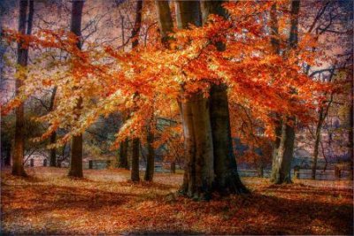 ​奋斗正能量句子79条