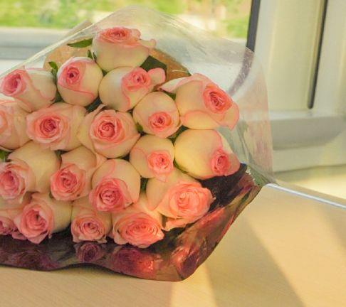 优秀散文优美句子摘抄