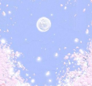 ​女人坚强的句子(56句)