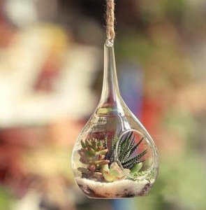 ​早安励志正能量句子