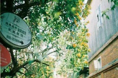 ​简单的微信伤感句子85条