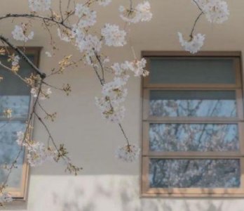 ​2024语录立冬句子 立冬官宣的句子(精选81句)