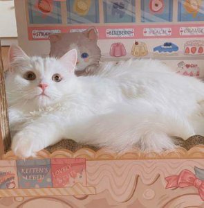 ​今日小雪文案朋友圈句子