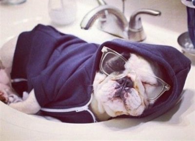 ​人生感悟句子精辟