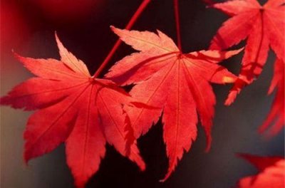 ​为考试加油的暖心句子 考试祝福语简短一句话(93句)