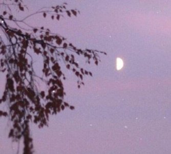 ​愚人节朋友圈套路说说 愚人节发朋友圈的句子汇总71句