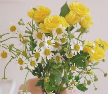 ​唯美文字的人生感悟句子