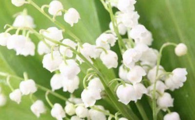 ​晚安心语的正能量句子