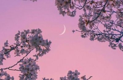 ​形容伤心的句子42条