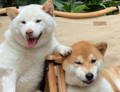 ​异地恋人间的思念句子