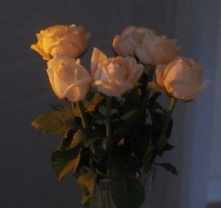 ​常用伤感古风句子摘录