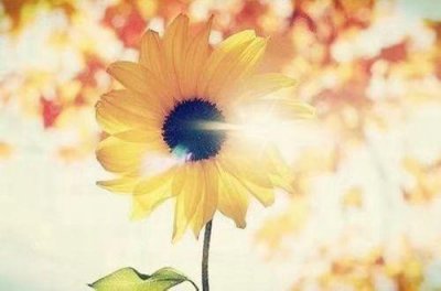 ​秋雨绵绵的唯美句子 描写秋雨的唯美句子(96句)