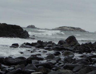 ​简短的友情句子66条