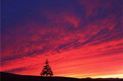 ​常用爱情伤心句子59条