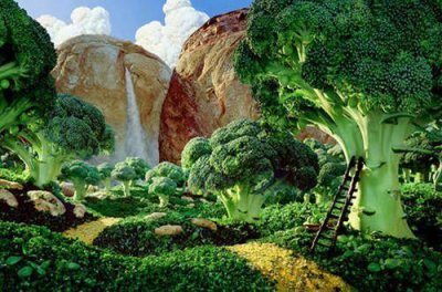 ​带有星星的句子(精选99句)