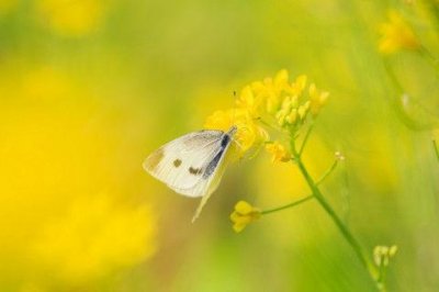 ​赞美生活的句子赏析 赞美生活的句子简短(精选67句)
