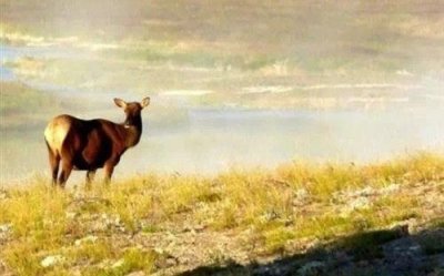 ​三观超正的温柔句子短句精选(精选58句)