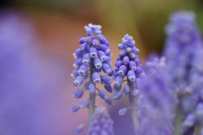 ​描写深夜思念的句子