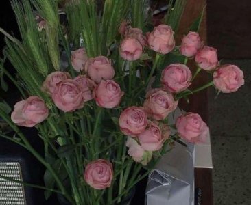 ​美到心碎的爱情句子