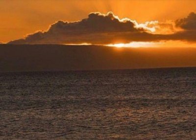 ​描写水仙花的优美句子