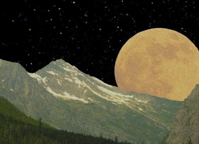 ​形容赏花心情好的句子精选90句