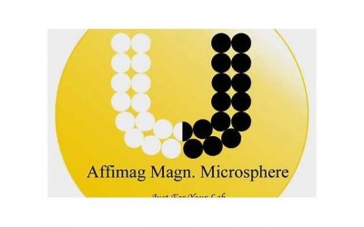 ​表达天气不好的句子