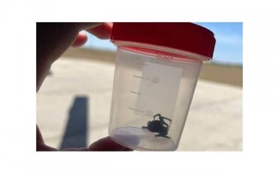 ​科室文案高级短句合集66条