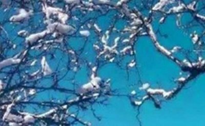 ​冬天优美文案(精选380句)