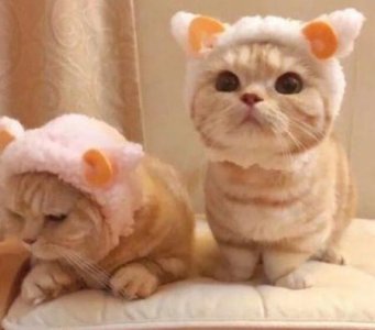 ​职场正能量的语录句子