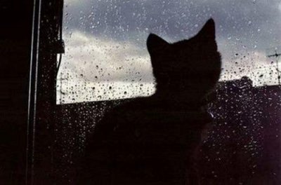 ​2025九九重阳节贺词句子简单(精选59句)