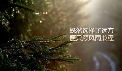​离别的伤感句子，无法驾驭