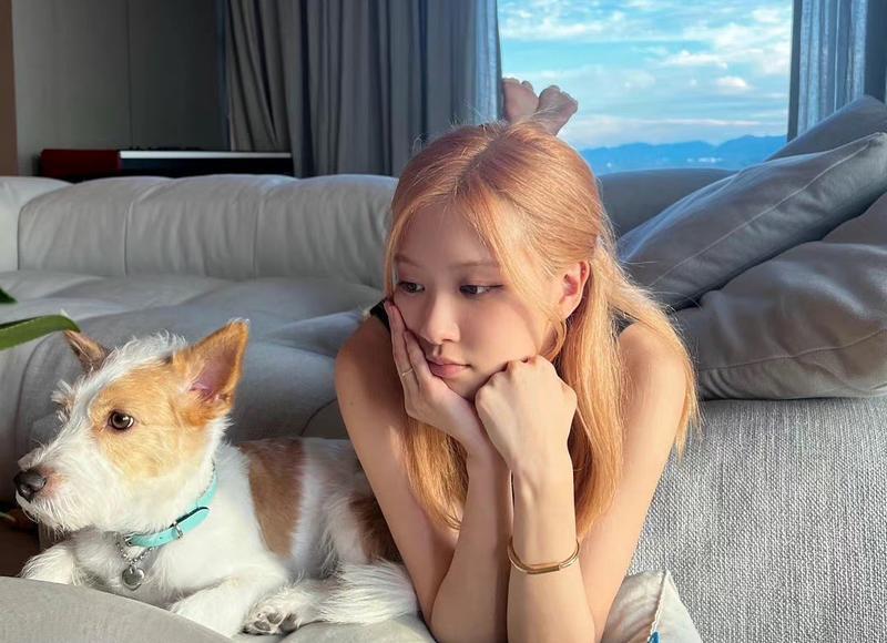 描写大海的优美段落（描写大海的优美句子）