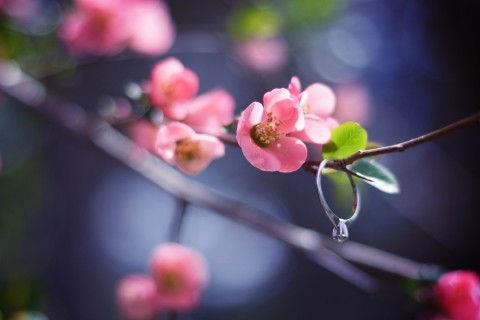 伤感文字签名语录精选