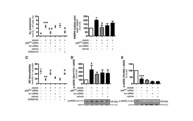 初中毕业留言简短句子6精选66条 初中毕业留言简短句子6精选66条