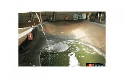 ​关于似水流年的句子精选132句