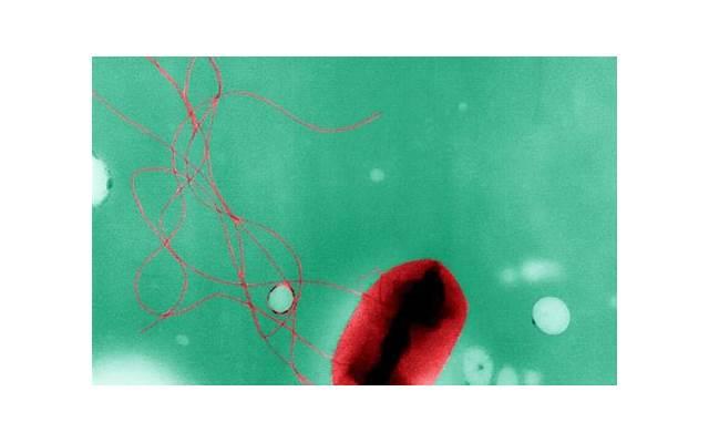 别轻易评价我的句子精选157句