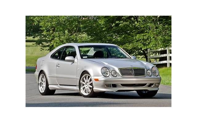 描写小学生心灵的句子精选208句